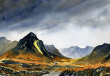 Broody Glencoe