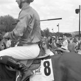 Another Day at the Races