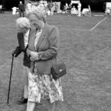Surrey Village Fete