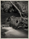 Fairy Glen