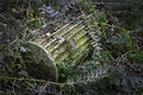 Gibberd Garden, Harlow