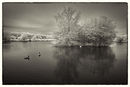 Hornchurch Country Park