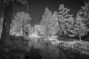 Myddleton House Gardens, Enfield