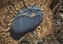 Sandymouth Bay