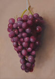 Grapes - for sale