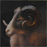 Ram's Head 2 - For sale