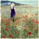 Poppyfield