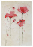 RED POPPIES 5