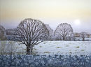 Winter Sun
