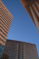 Blue Sky, Oh Blue Sky