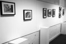 KAF Gallery 6