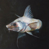 Warning, 2018 Oil Painting of Abyssal Grenadier by A Gould