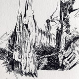 Svalbard Timber