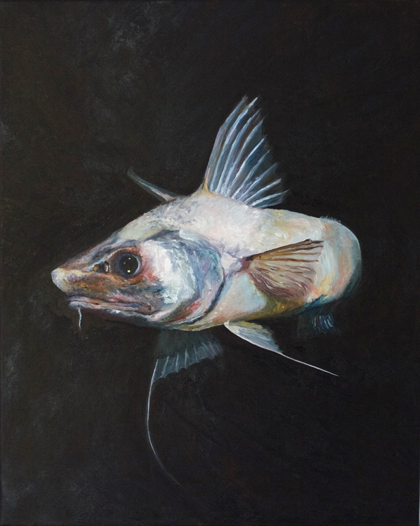 Warning, 2018 A Gould