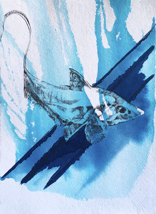 Ink Drawing of Deep Sea Fish