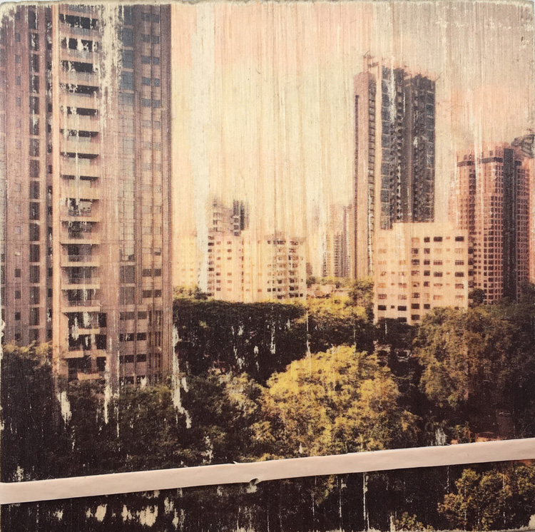 Capsule, 2018 D. Gould