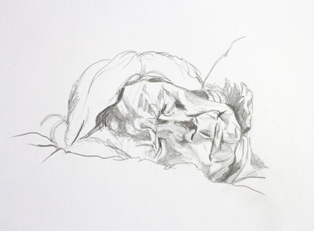 Man Sleeping sketch by Alexandra Gould