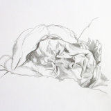 Man Sleeping sketch by Alexandra Gould