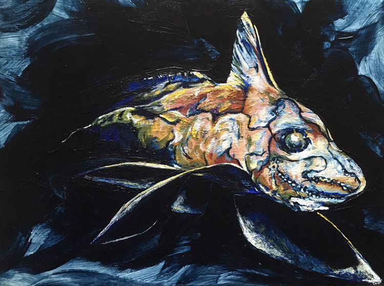Ghost Shark / Chimera painting in acrylic