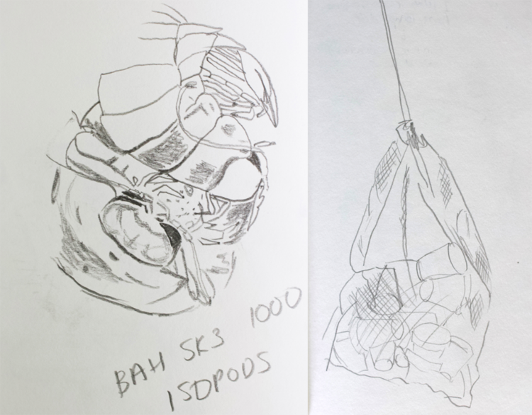 JBA Sketches