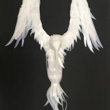 Plastic Albatross, 2018, R Reid