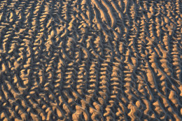 Beach Ripples