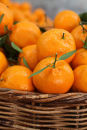 Basket of market oranges