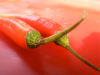 Red Chillis