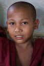 Young monk Burma