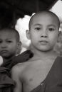 Two novice Burmese monks