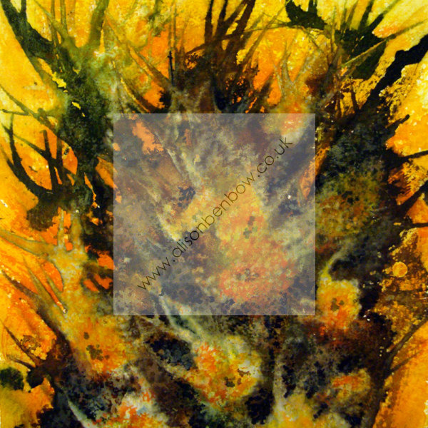 orange thorn