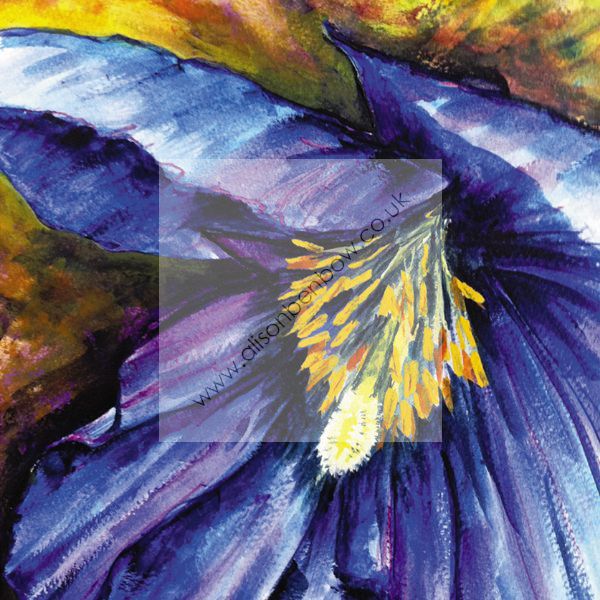 blue poppy