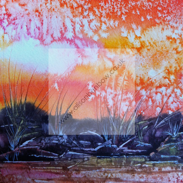 firefly pond
