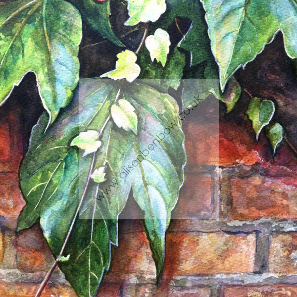 ivy wall