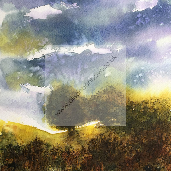 meadow haze
