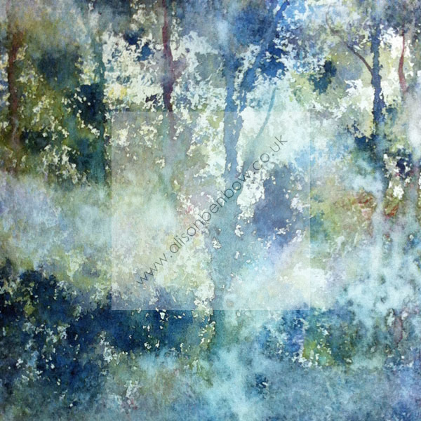 morning glade