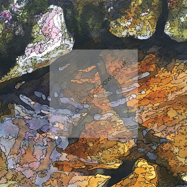 peatland pool