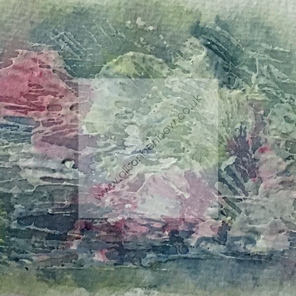 shell outcrop