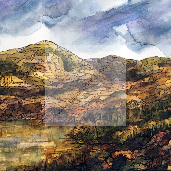 velveteen hills