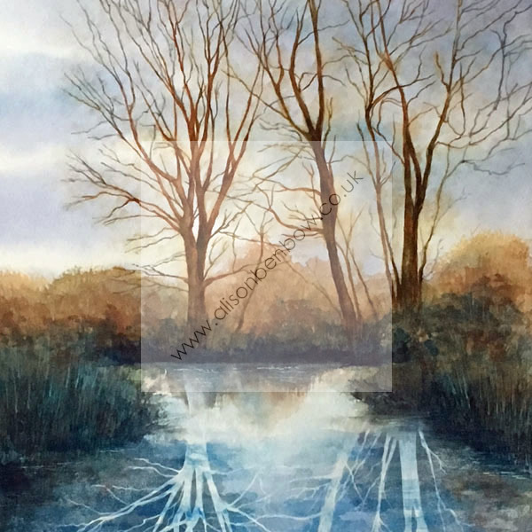 wetland shadows
