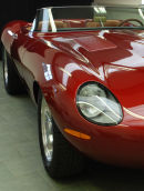 Jaguar
