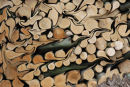 Liquified wood