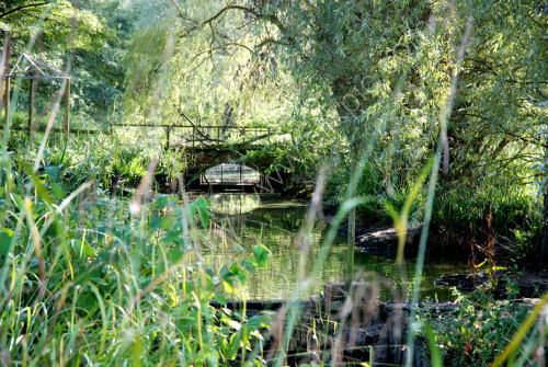 Small bridge at Bentley Wildfowl Trust