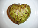 Custard Apple