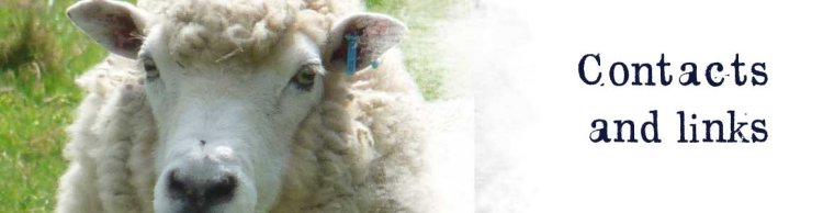 contacts banner