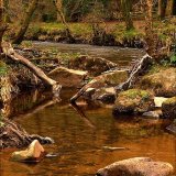 Fingle Bridge reflections