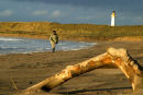 Walker on beach at Turnberry