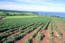 Ayrshire coastline towards Culzean Castle Turnberry & Ailsa Craig