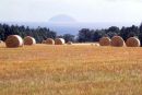 Ailsa Craig seen from the field and through the haybales at Culzean Castle