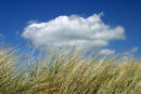 Cloud & grass